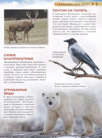 Фотография книги "Ирина Травина: Красная книга. Детская энциклопедия"