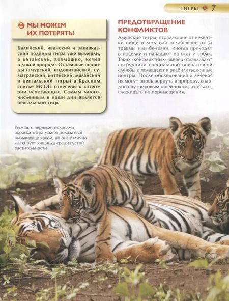 Фотография книги "Ирина Травина: Красная книга. Детская энциклопедия"