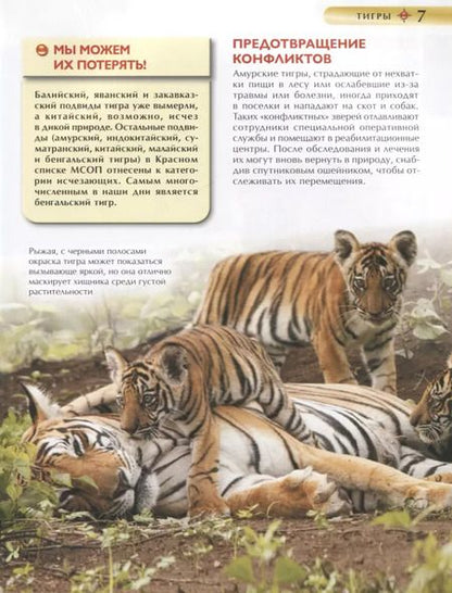 Фотография книги "Ирина Травина: Красная книга. Детская энциклопедия"
