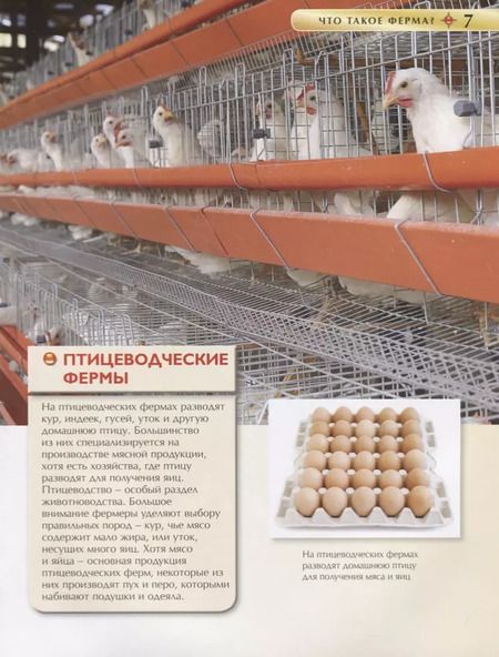 Фотография книги "Ирина Травина: Животные фермы. Детская энциклопедия (новая обл.)"