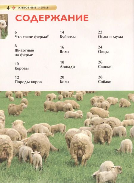 Фотография книги "Ирина Травина: Животные фермы"