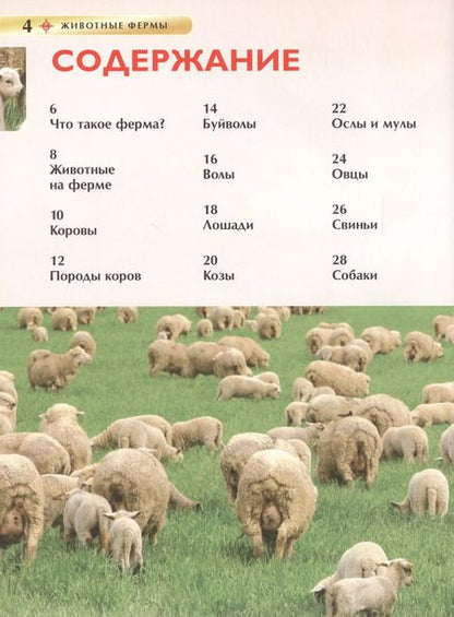 Фотография книги "Ирина Травина: Животные фермы"