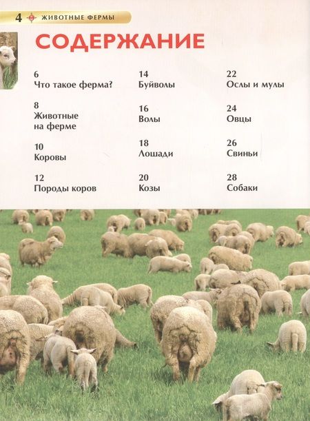 Фотография книги "Ирина Травина: Животные фермы"