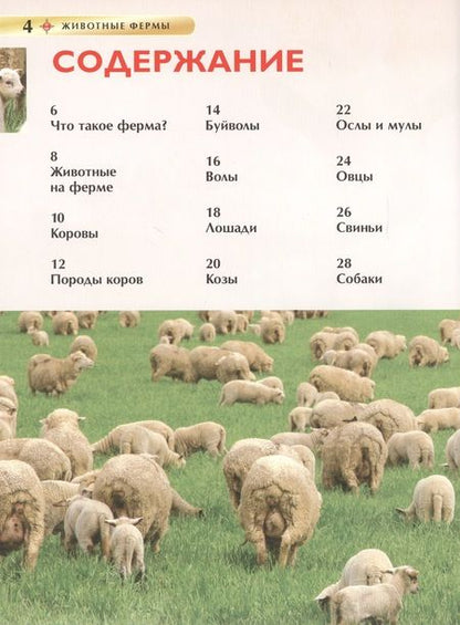 Фотография книги "Ирина Травина: Животные фермы"