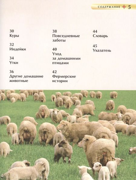 Фотография книги "Ирина Травина: Животные фермы"