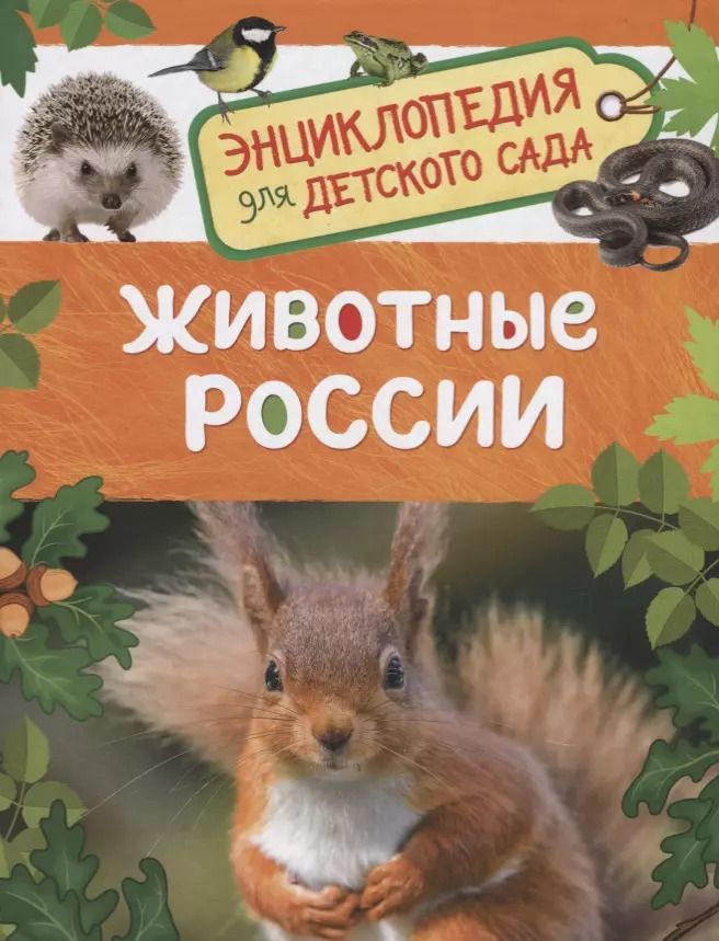 Обложка книги "Ирина Травина: Животные России. Энциклопедия для детского сада"