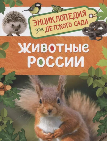 Обложка книги "Ирина Травина: Животные России. Энциклопедия для детского сада"