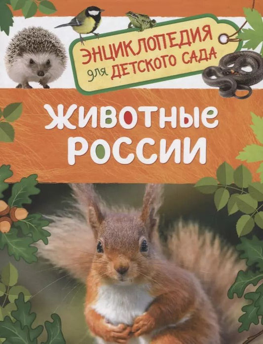 Обложка книги "Ирина Травина: Животные России. Энциклопедия для детского сада"