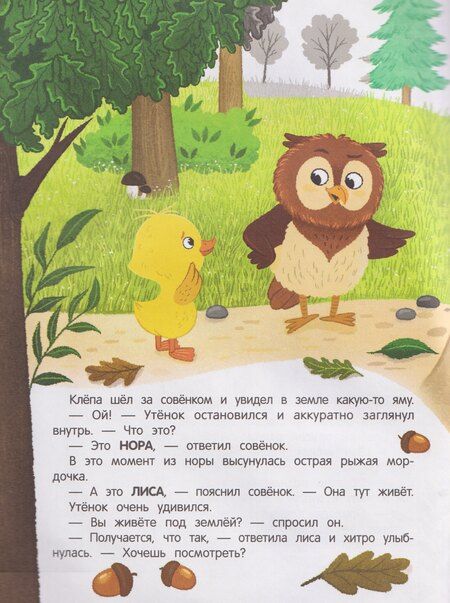 Фотография книги "Ирина Вадимовна: Утёнок в лесу!: книжка с наклейками"