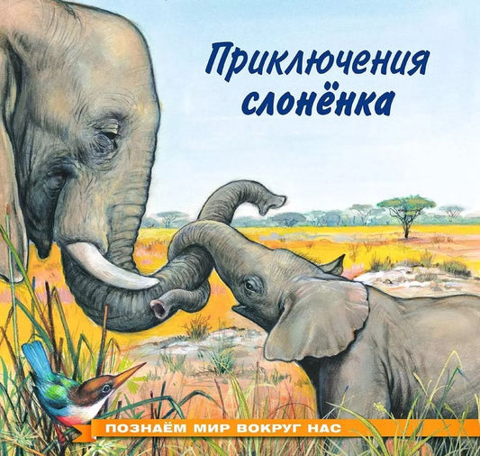Обложка книги "Ирина Валерьевна: Приключения слонёнка"