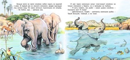Фотография книги "Ирина Валерьевна: Приключения слонёнка"