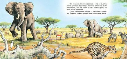 Фотография книги "Ирина Валерьевна: Приключения слонёнка"