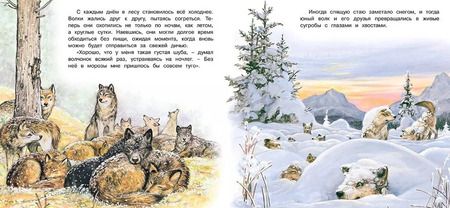 Фотография книги "Ирина Валерьевна: Приключения волчонка"