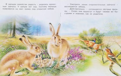Фотография книги "Ирина Валерьевна: В лесу (мПозЧт) Гурина"