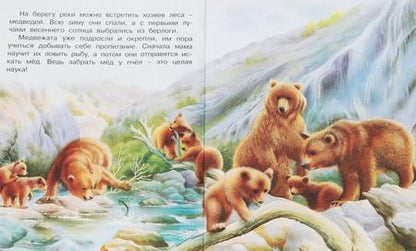 Фотография книги "Ирина Валерьевна: В лесу (мПозЧт) Гурина"