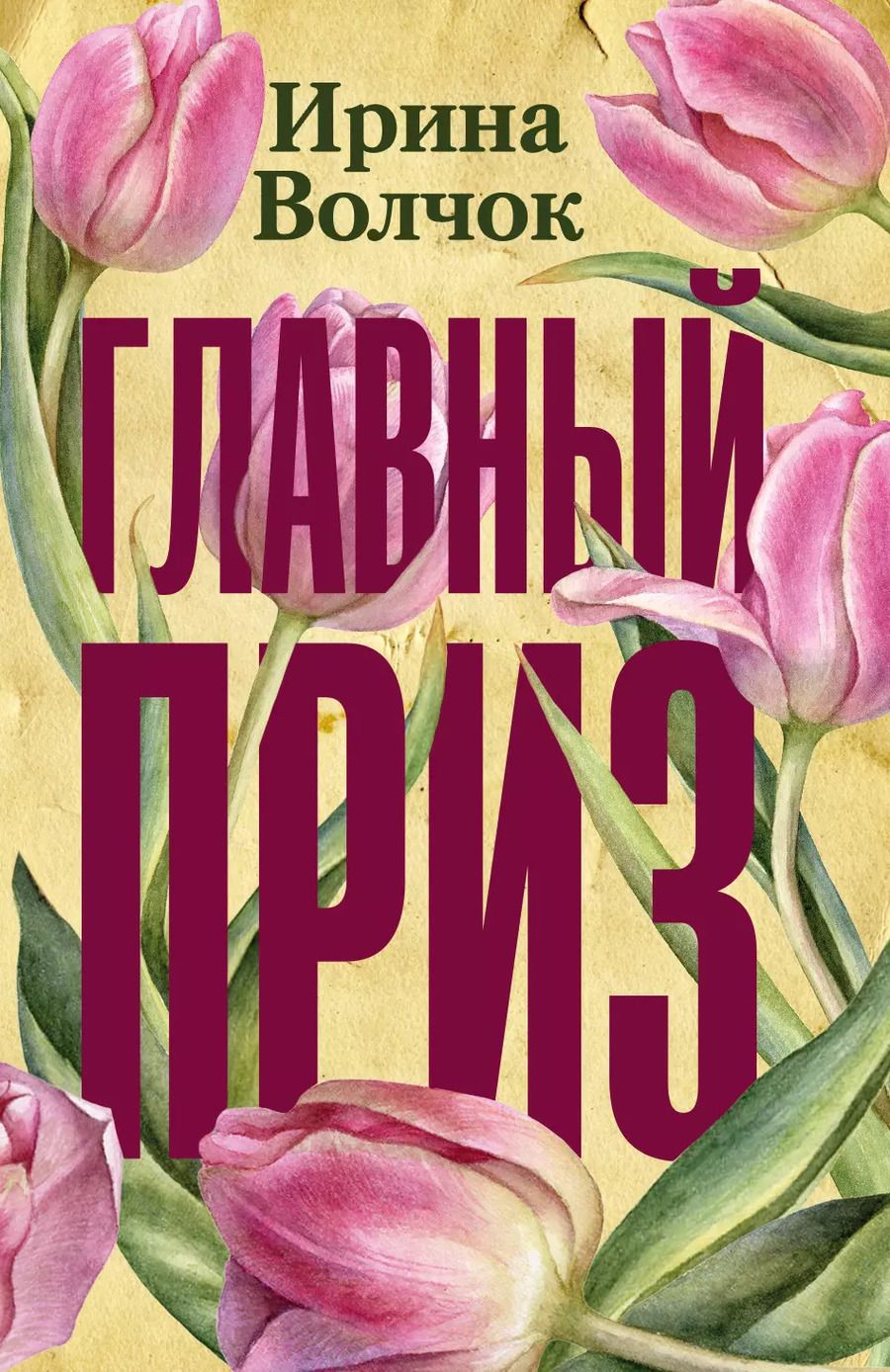 Обложка книги "Ирина Волчок: Главный приз"