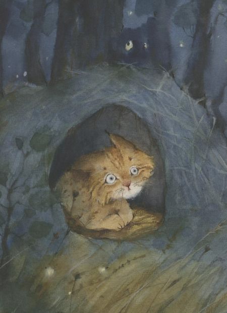 Фотография книги "Ирина Зартайская: Кто прячется в темноте?"