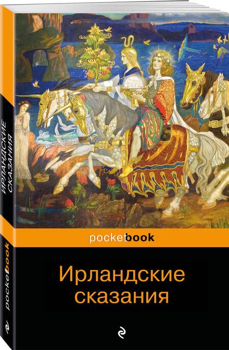 Фотография книги "Ирландские сказания"