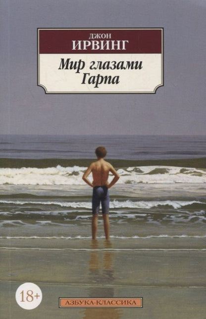Обложка книги "Ирвинг: Мир глазами Гарпа"