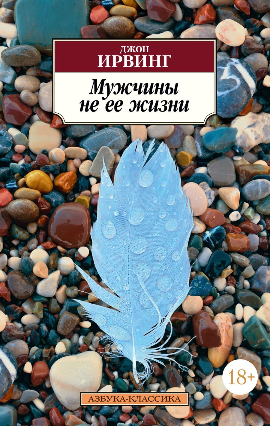 Обложка книги "Ирвинг: Мужчины не ее жизни"