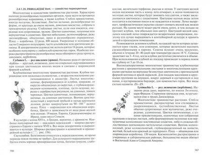 Фотография книги "Исачкин, Скакова, Крючкова: Декоративное садоводство с основами ландшафтного проектирования. Учебник"