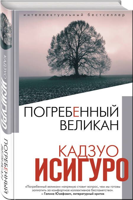 Фотография книги "Исигуро: Погребенный великан"