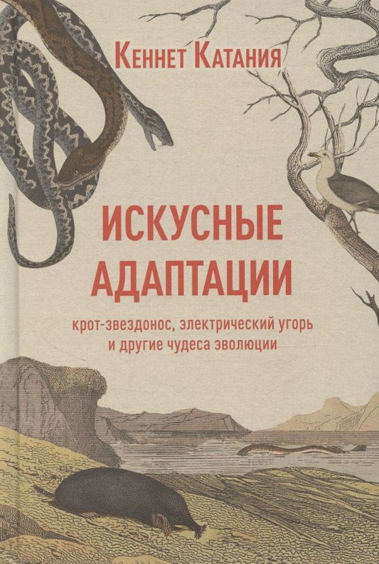 Обложка книги "Искусные адаптации. Крот-звездонос, электрический угорь и другие чудеса эволюции"