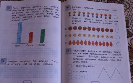 Фотография книги "Истомина, Шмырева: Математика. 1 класс. Мои учебные достижения. Контрольные работы. ФГОС"