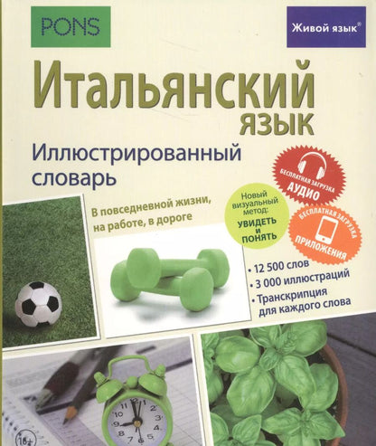 Обложка книги "Итальянский язык. Иллюстрированный словарь+приложение"