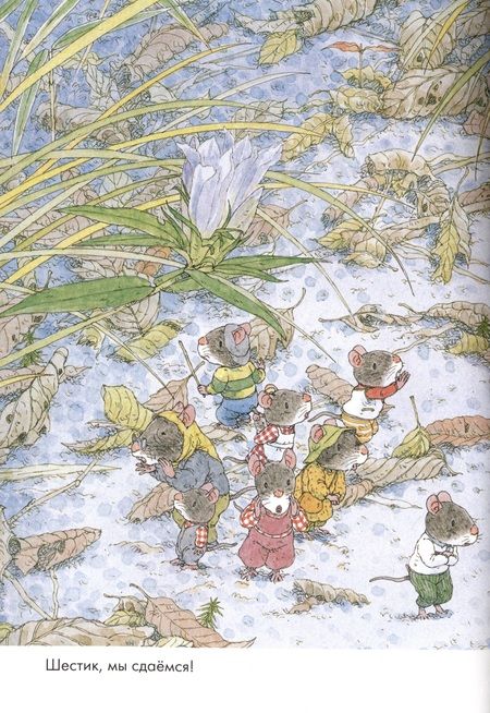 Фотография книги "Ивамура: 14 лесных мышей. Парад грибов"