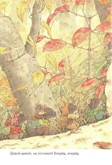Фотография книги "Ивамура: 14 лесных мышей. Переезд, мини"