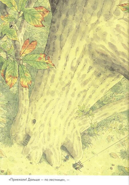 Фотография книги "Ивамура: 14 лесных мышей. Ужин с луной"