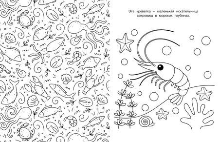 Фотография книги "Иван Барсуков: Милые очаровашки"