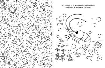 Фотография книги "Иван Барсуков: Милые очаровашки"