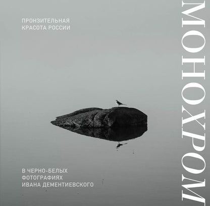 Обложка книги "Иван Дементиевский: Монохром. Пронзительная красота России в черно-белых фотографиях Ивана Дементиевского"