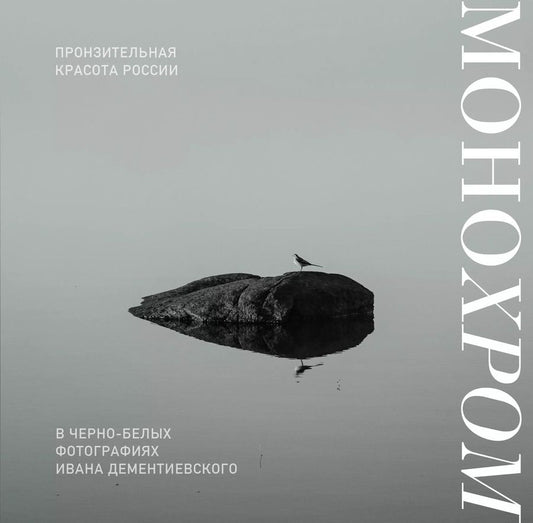 Обложка книги "Иван Дементиевский: Монохром. Пронзительная красота России в черно-белых фотографиях Ивана Дементиевского"