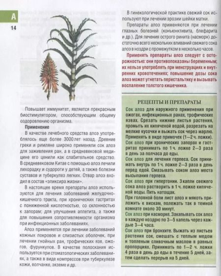 Фотография книги "Иван Куреннов: Самые необходимые лекарственные растения. Характеристики, применение, рецепты, препараты"