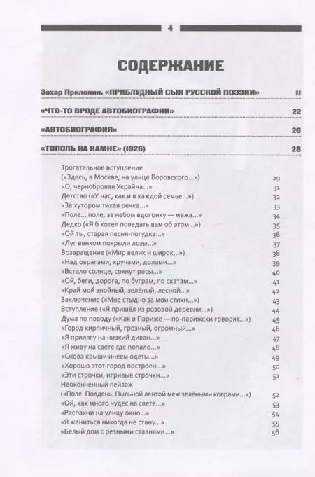 Фотография книги "Иван Приблудный: Все написанное"