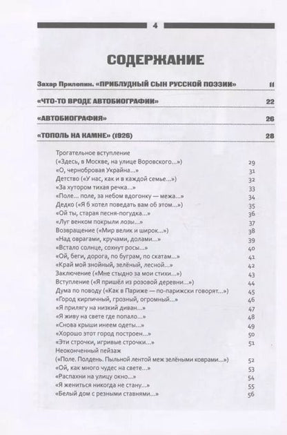 Фотография книги "Иван Приблудный: Все написанное"