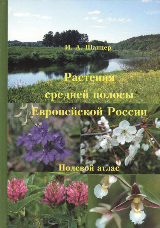 Обложка книги "Иван Шанцер: Растения средней полосы Европейской России. Полевой атлас. 5-е изд."