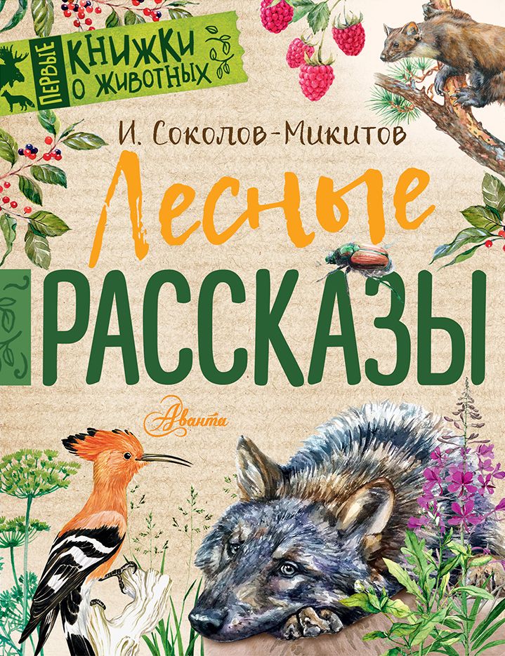 Обложка книги "Иван Соколов-Микитов: Лесные рассказы"