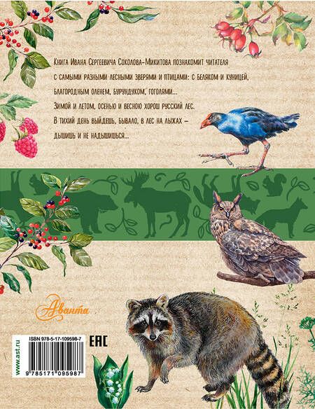 Фотография книги "Иван Соколов-Микитов: Лесные рассказы"