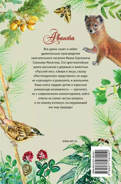 Фотография книги "Иван Соколов-Микитов: Русский лес"