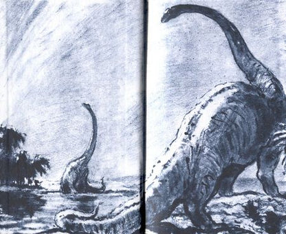 Фотография книги "Иван Ефремов: Бухта Радужных струй"