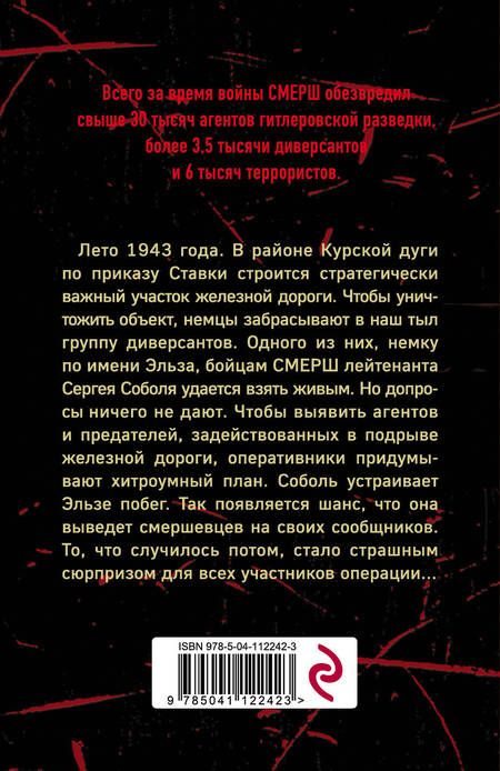 Фотография книги "Иванов: Объект 217"