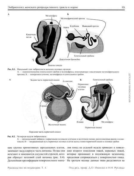 Фотография книги "Иванов, Рухляда, Богатырева: Руководство по педиатрии. Том 4. Детская гинекология"