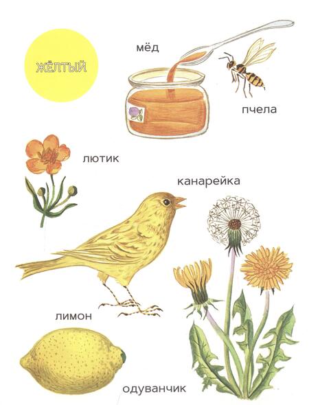 Фотография книги "Ивановская: Моя первая книжка о цвете"