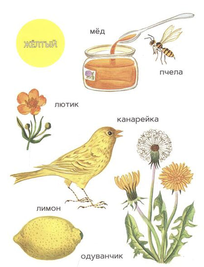 Фотография книги "Ивановская: Моя первая книжка о цвете"