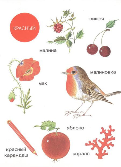 Фотография книги "Ивановская: Моя первая книжка о цвете"