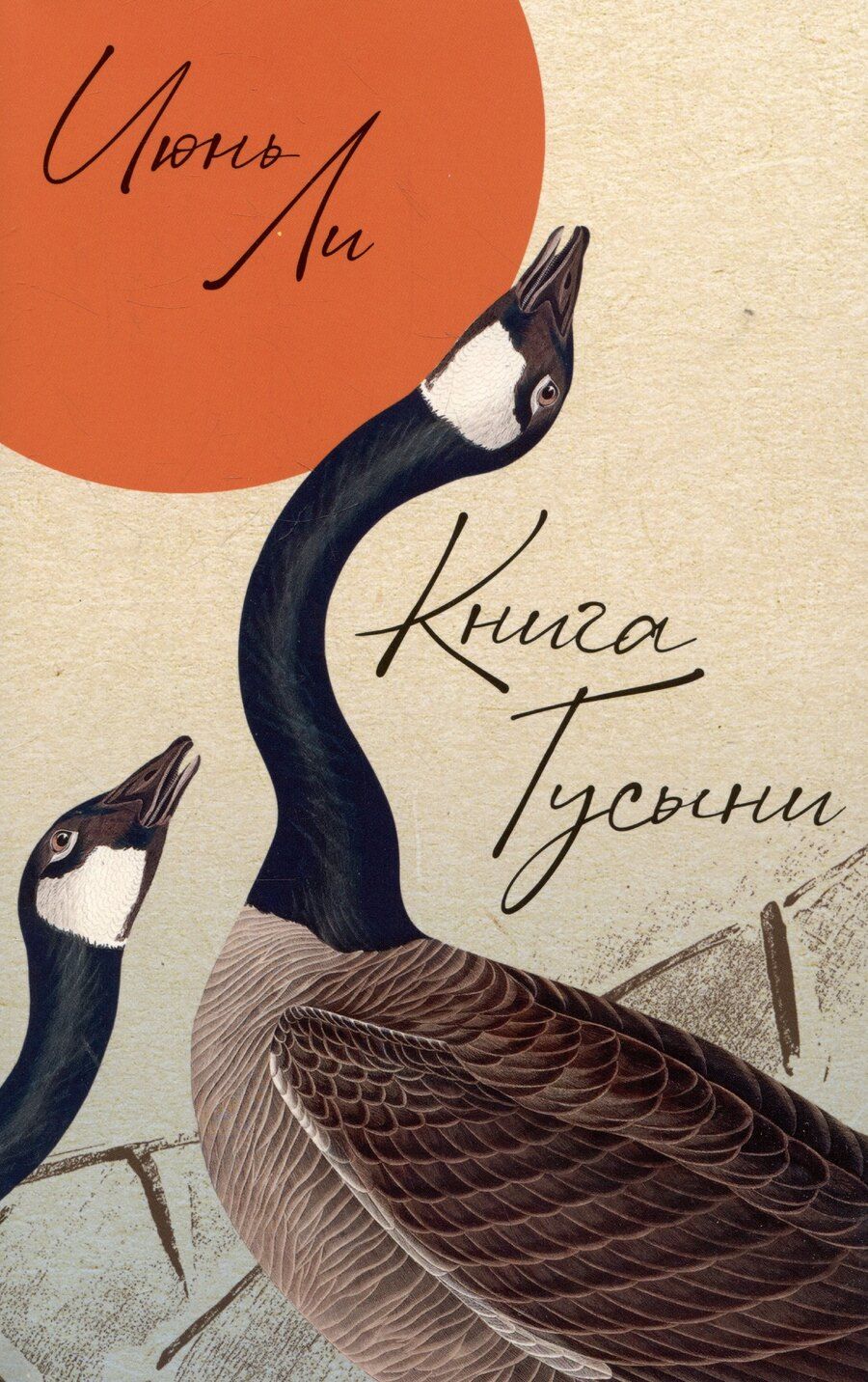 Обложка книги "Июнь Ли: Книга Гусыни"